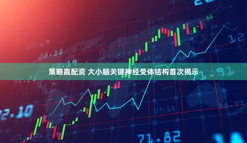 策略赢配资 大小脑关键神经受体结构首次揭示